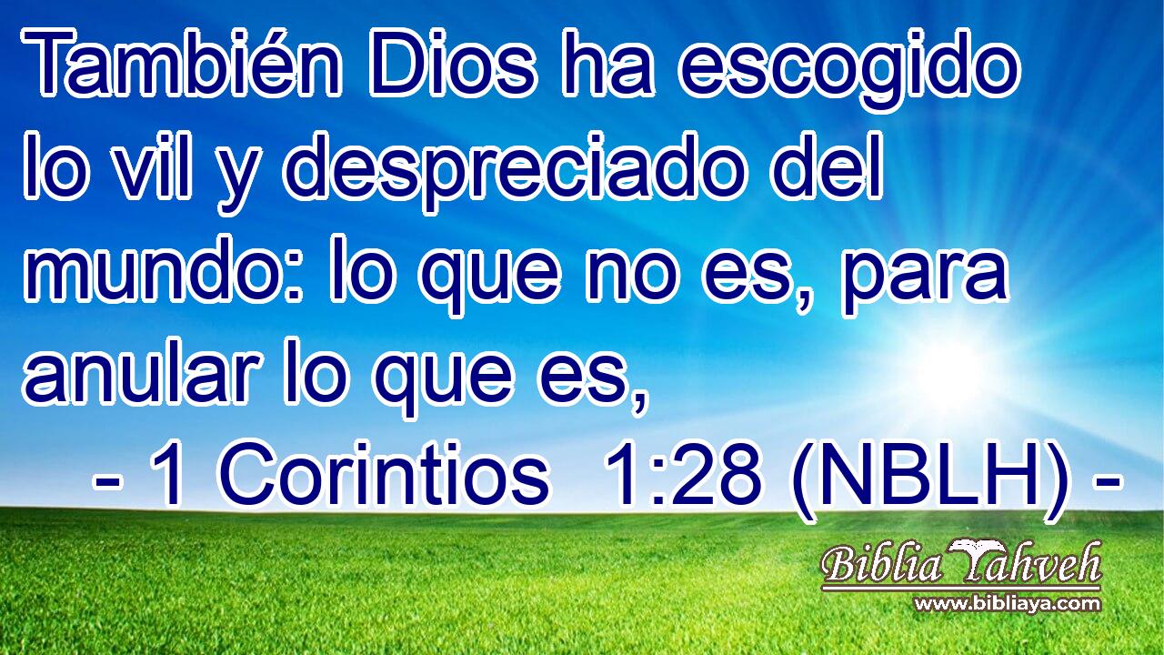 También Dios ha escogido lo vil y despreciado del mundo: lo que no es, para anular lo que es, 