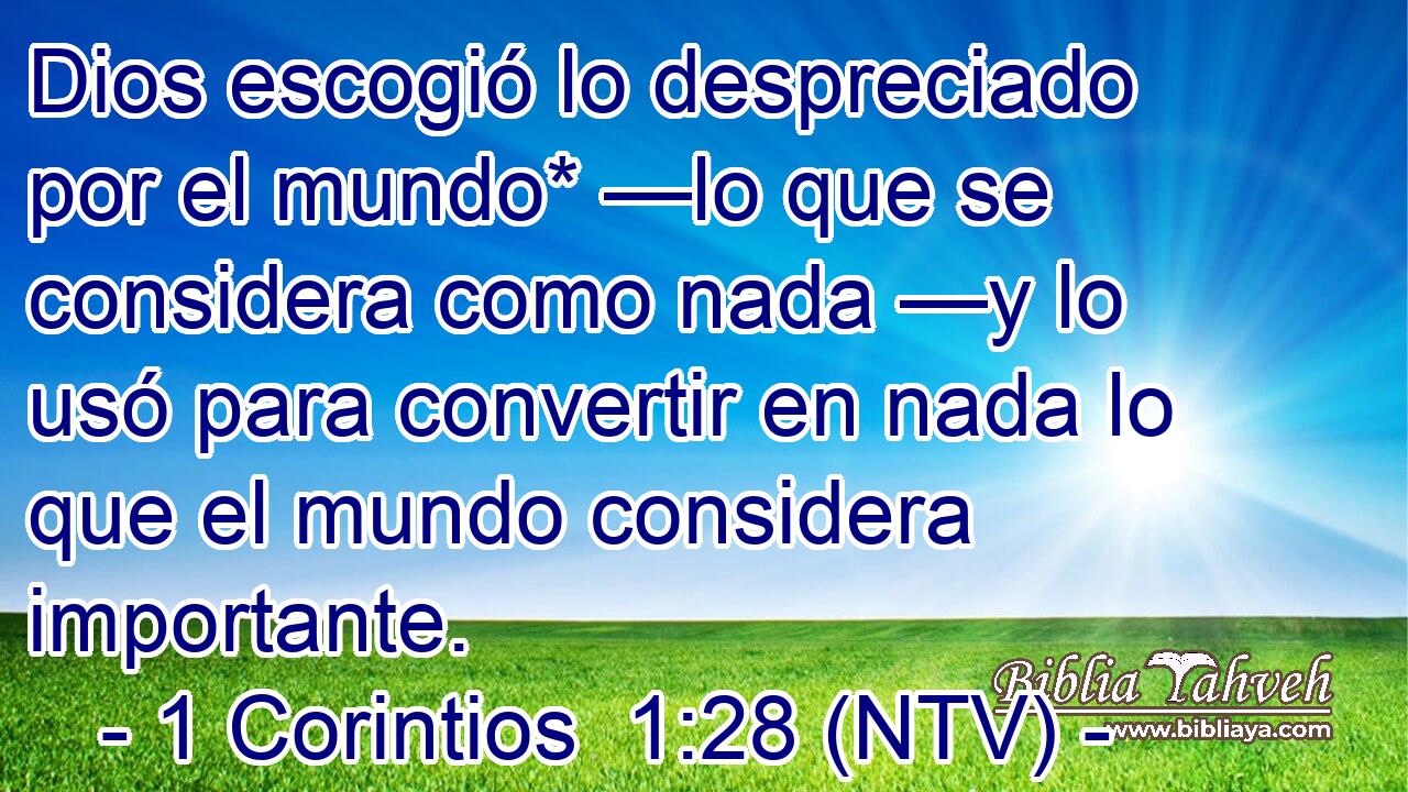 Dios escogió lo despreciado por el mundo* —lo que se considera como nada —y lo usó para convertir en nada lo que el mundo considera importante.