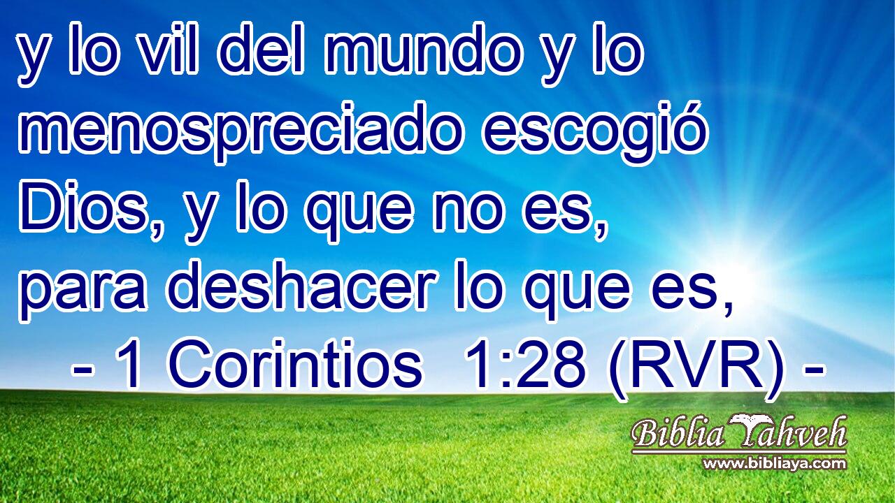y lo vil del mundo y lo menospreciado escogió Dios, y lo que no es, para deshacer lo que es,