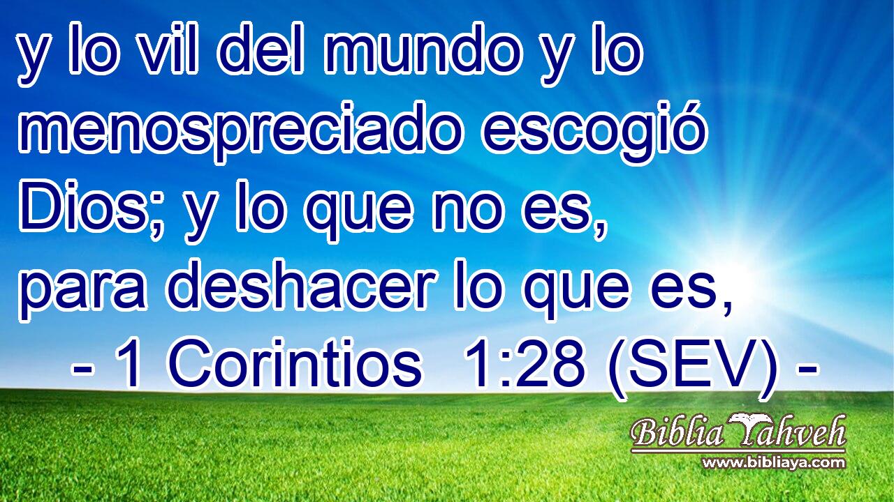 y lo vil del mundo y lo menospreciado escogió Dios; y lo que no es, para deshacer lo que es,