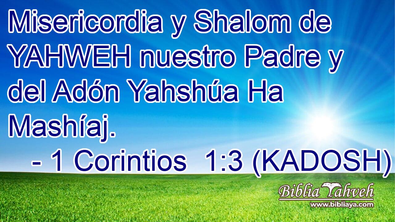  Misericordia y Shalom de YAHWEH nuestro Padre y del Adón Yahshúa Ha Mashíaj. 