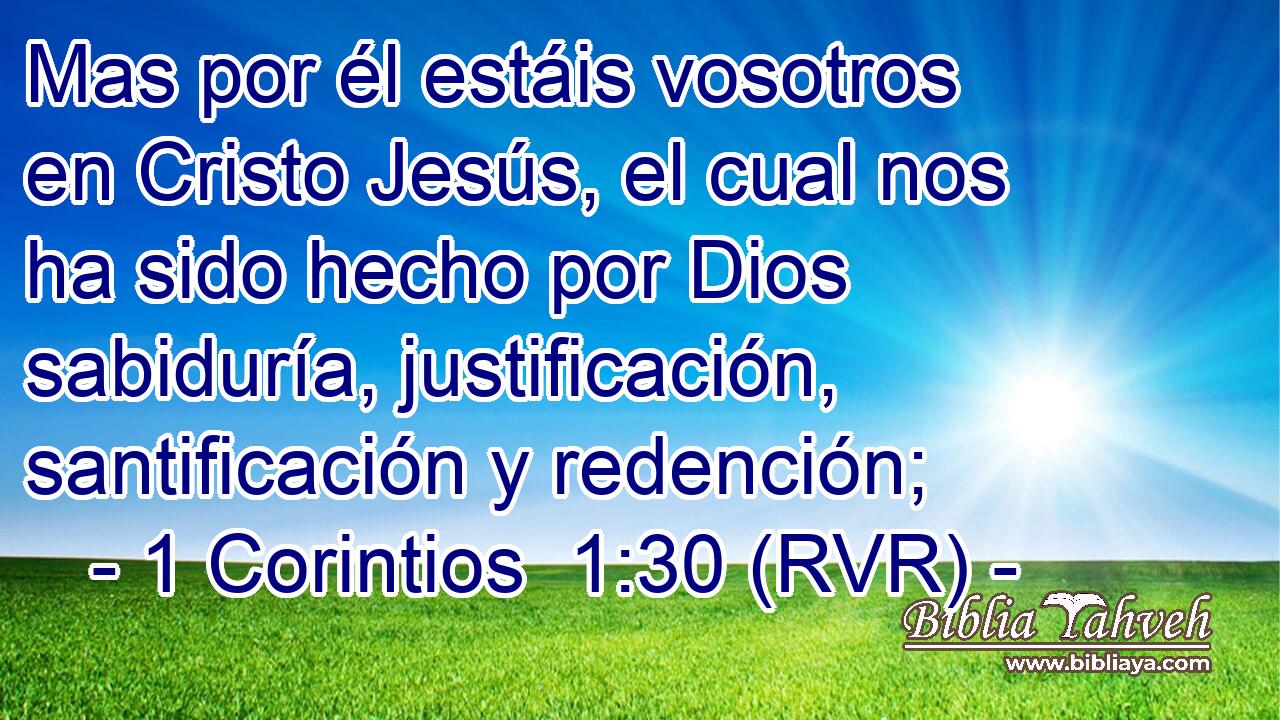 Mas por él estáis vosotros en Cristo Jesús, el cual nos ha sido hecho por Dios sabiduría, justificación, santificación y redención;