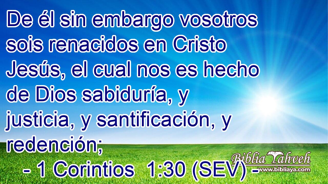 De él sin embargo vosotros sois renacidos en Cristo Jesús, el cual nos es hecho de Dios sabiduría, y justicia, y santificación, y redención;