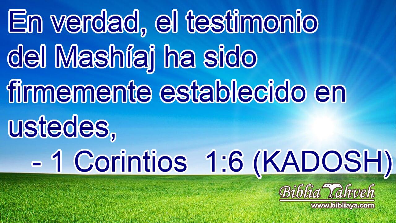  En verdad, el testimonio del Mashíaj ha sido firmemente establecido en ustedes, 