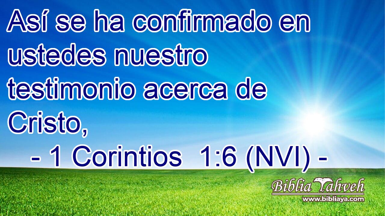  Así se ha confirmado en ustedes nuestro testimonio acerca de Cristo, 