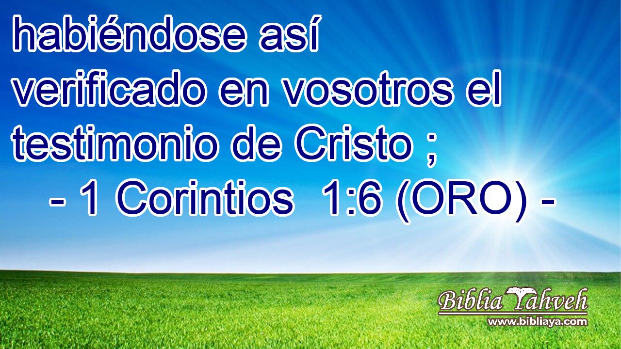  habiéndose así verificado en vosotros el testimonio de Cristo ; 