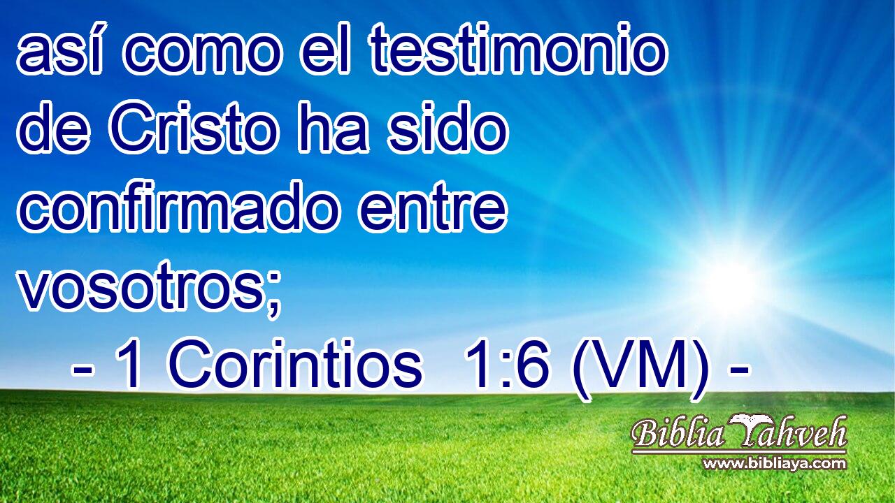  así como el testimonio de Cristo ha sido confirmado entre vosotros; 