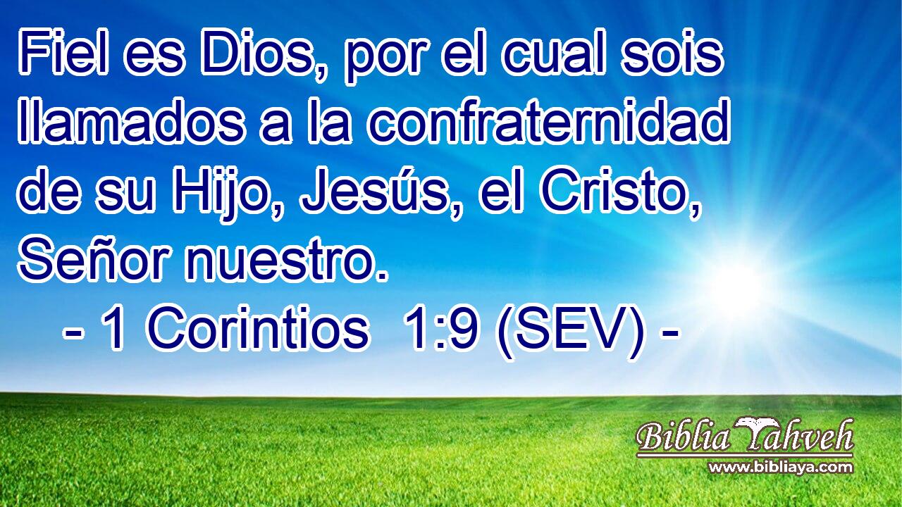 Fiel es Dios, por el cual sois llamados a la confraternidad de su Hijo, Jesús, el Cristo, Señor nuestro.
