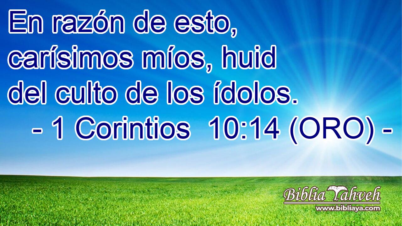  En razón de esto, carísimos míos, huid del culto de los ídolos. 