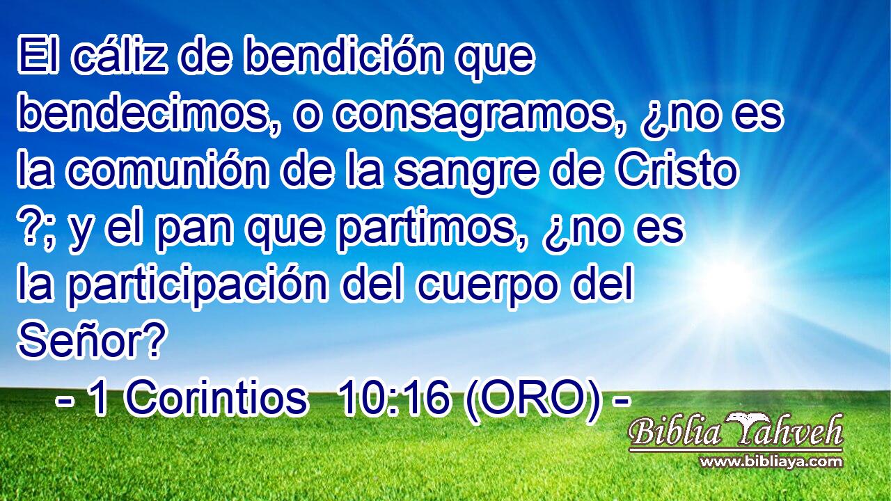  El cáliz de bendición que bendecimos, o consagramos, ¿no es la comunión de la sangre de Cristo ?; y el pan que partimos, ¿no es la participación del cuerpo del Señor? 