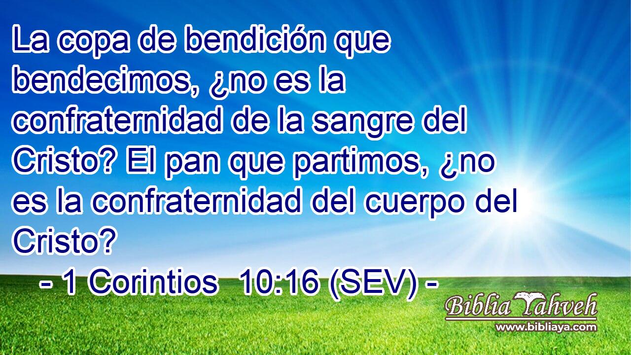 La copa de bendición que bendecimos, ¿no es la confraternidad de la sangre del Cristo? El pan que partimos, ¿no es la confraternidad del cuerpo del Cristo?
