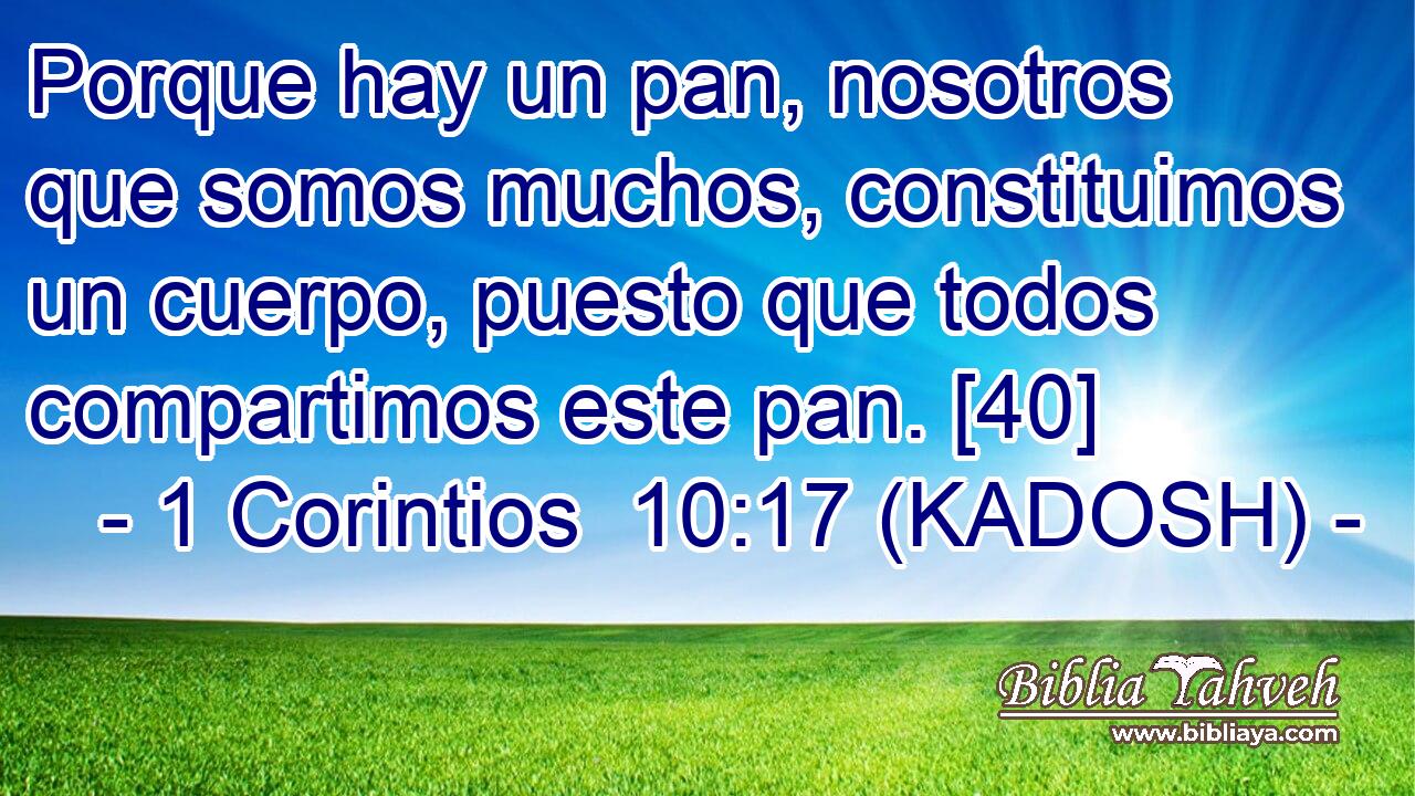  Porque hay un pan, nosotros que somos muchos, constituimos un cuerpo, puesto que todos compartimos este pan. [40] 