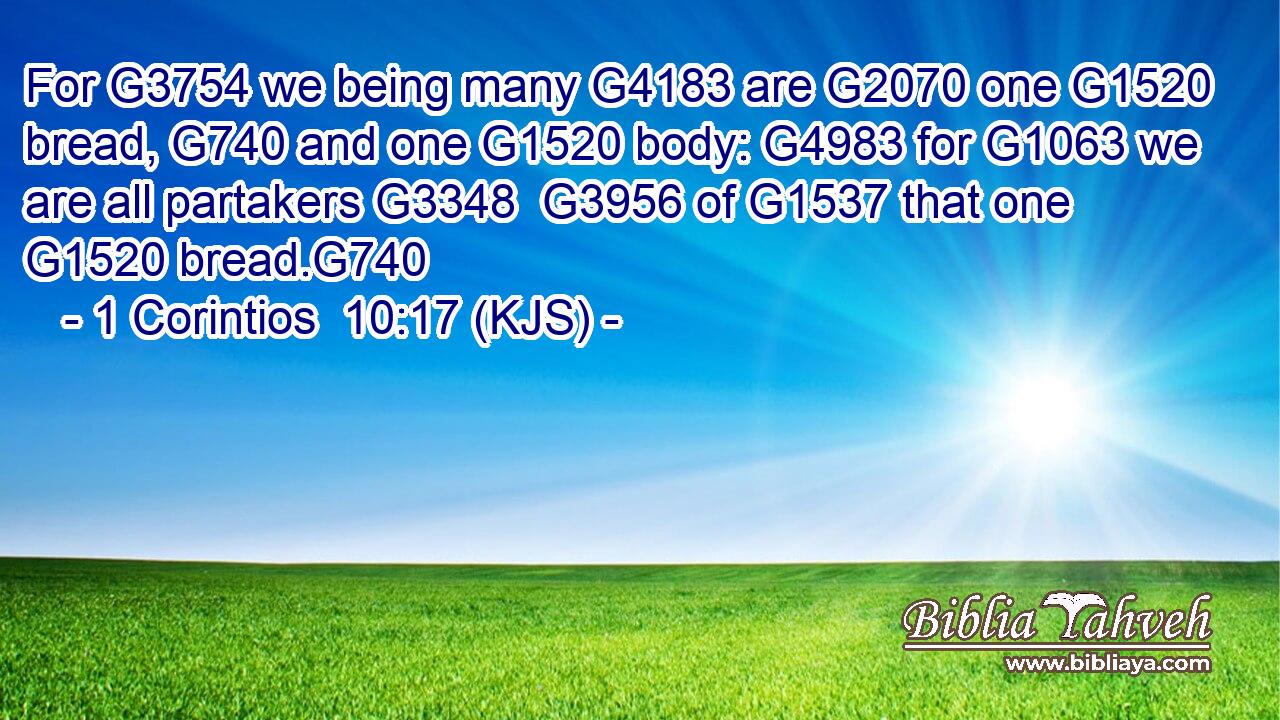 For G3754 we being many G4183 are G2070 one G1520 bread, G740 and one G1520 body: G4983 for G1063 we are all partakers G3348  G3956 of G1537 that one G1520 bread.G740