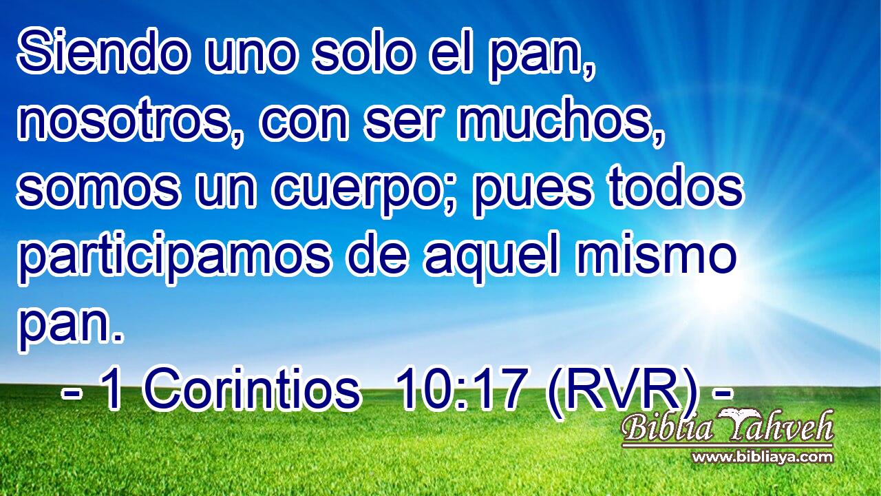 Siendo uno solo el pan, nosotros, con ser muchos, somos un cuerpo; pues todos participamos de aquel mismo pan.