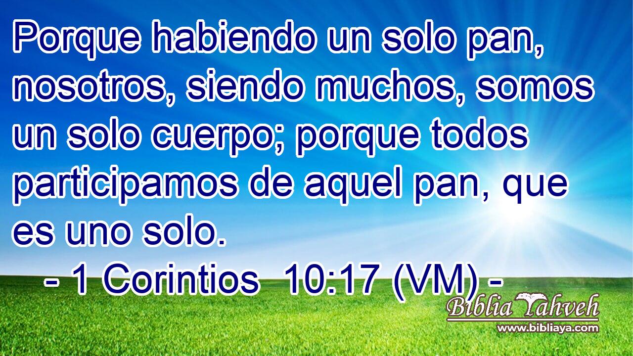  Porque habiendo un solo pan, nosotros, siendo muchos, somos un solo cuerpo; porque todos participamos de aquel pan, que es uno solo. 