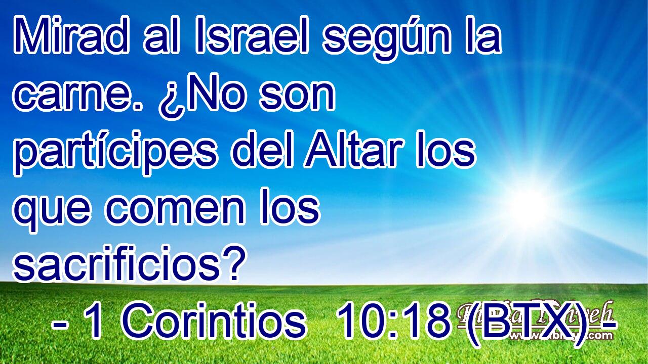 Mirad al Israel según la carne. ¿No son partícipes del Altar los que comen los sacrificios?