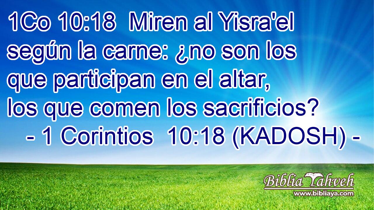  Miren al Yisra'el según la carne: ¿no son los que participan en el altar, los que comen los sacrificios? 