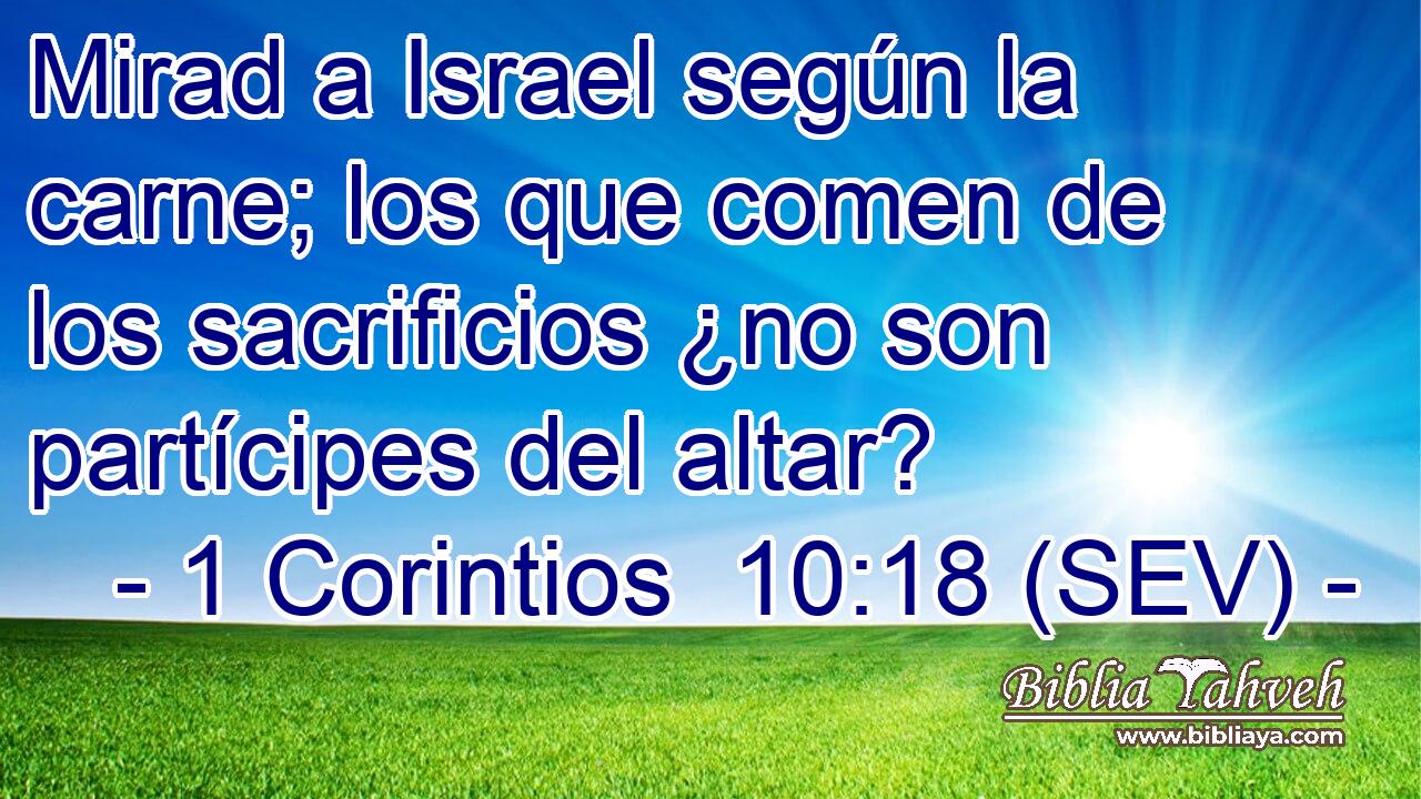 Mirad a Israel según la carne; los que comen de los sacrificios ¿no son partícipes del altar?