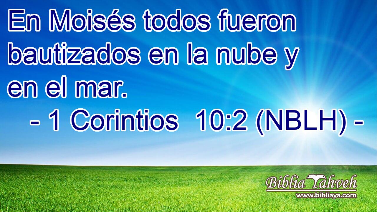  En Moisés todos fueron bautizados en la nube y en el mar. 