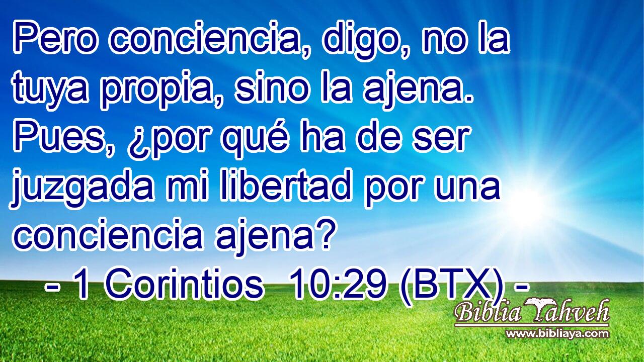 Pero conciencia, digo, no la tuya propia, sino la ajena. Pues, ¿por qué ha de ser juzgada mi libertad por una conciencia ajena?