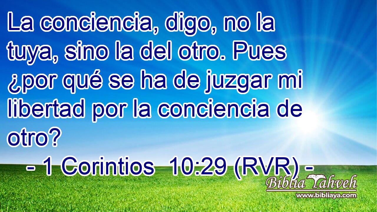 La conciencia, digo, no la tuya, sino la del otro. Pues ¿por qué se ha de juzgar mi libertad por la conciencia de otro?