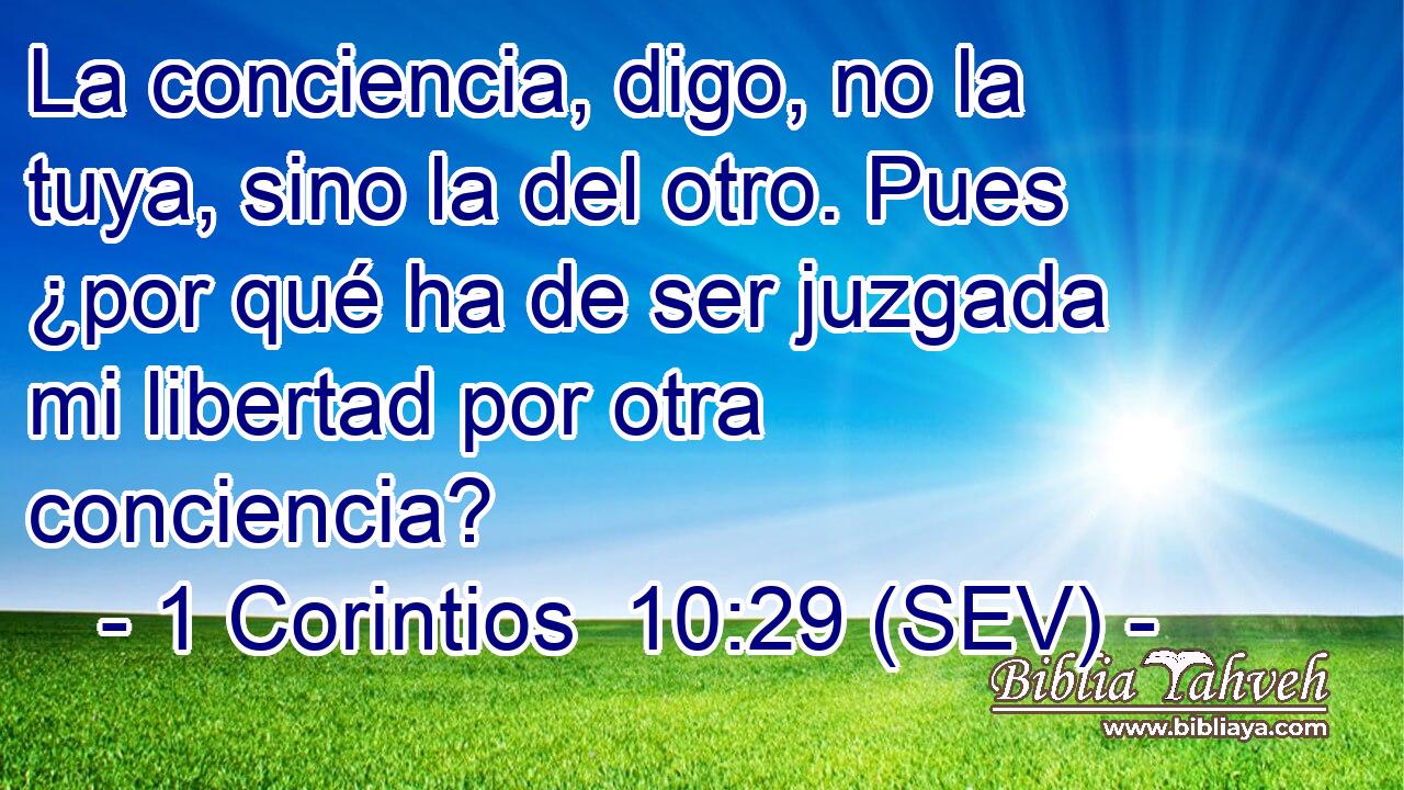 La conciencia, digo, no la tuya, sino la del otro. Pues ¿por qué ha de ser juzgada mi libertad por otra conciencia?