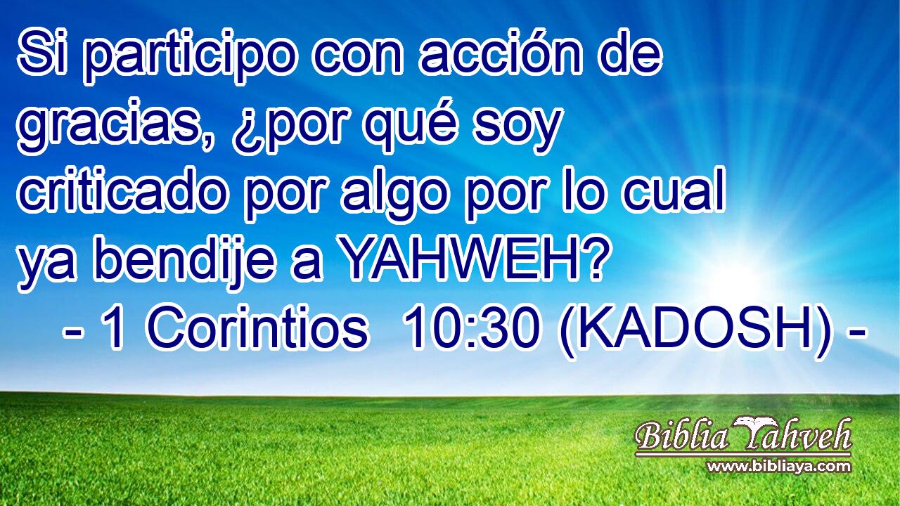  Si participo con acción de gracias, ¿por qué soy criticado por algo por lo cual ya bendije a YAHWEH? 
