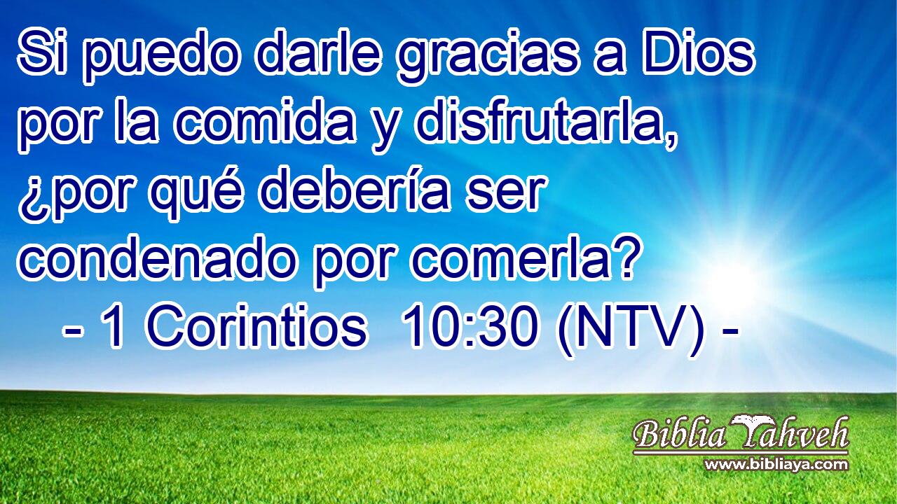 Si puedo darle gracias a Dios por la comida y disfrutarla, ¿por qué debería ser condenado por comerla?