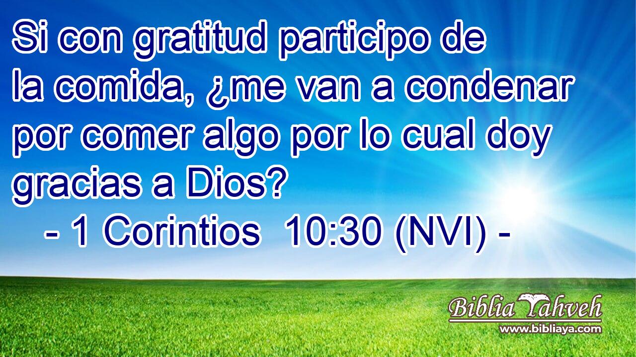  Si con gratitud participo de la comida, ¿me van a condenar por comer algo por lo cual doy gracias a Dios? 