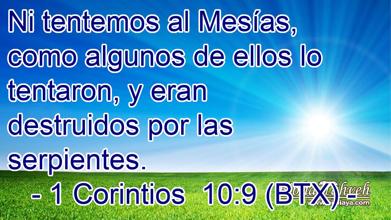 Ni tentemos al Mesías, como algunos de ellos lo tentaron, y eran destruidos por las serpientes.
