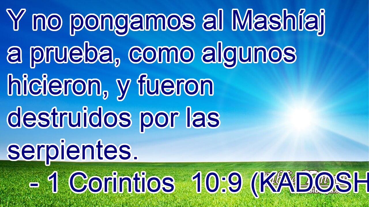  Y no pongamos al Mashíaj a prueba, como algunos hicieron, y fueron destruidos por las serpientes. 