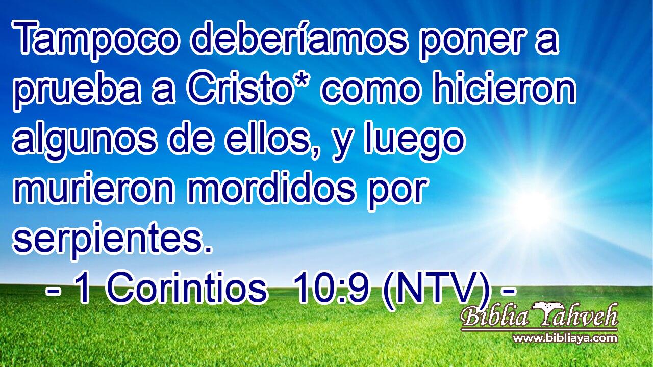 Tampoco deberíamos poner a prueba a Cristo* como hicieron algunos de ellos, y luego murieron mordidos por serpientes.