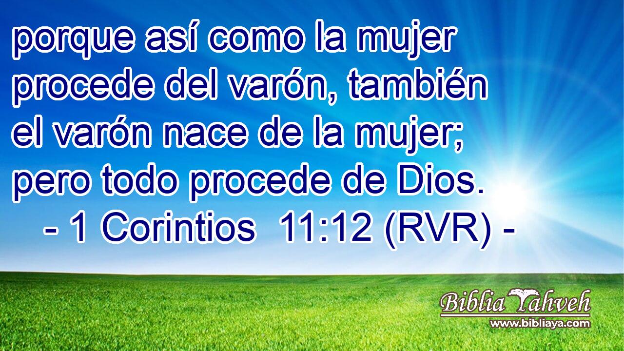 porque así como la mujer procede del varón, también el varón nace de la mujer; pero todo procede de Dios.