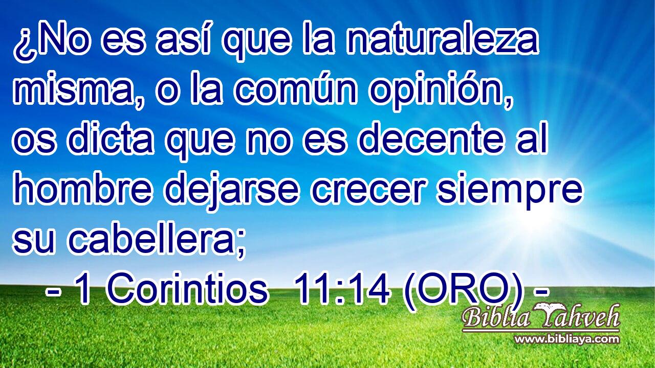  ¿No es así que la naturaleza misma, o la común opinión, os dicta que no es decente al hombre dejarse crecer siempre su cabellera; 