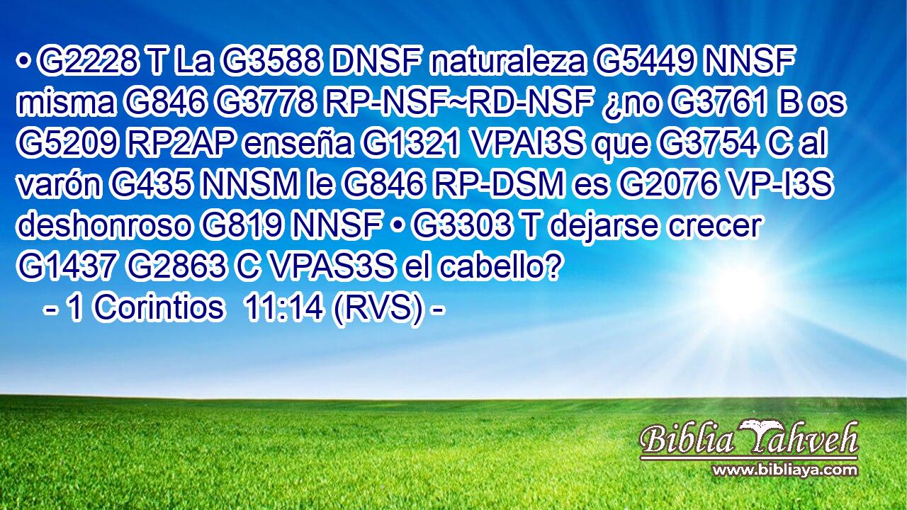 • G2228 T La G3588 DNSF naturaleza G5449 NNSF misma G846 G3778 RP-NSF~RD-NSF ¿no G3761 B os G5209 RP2AP enseña G1321 VPAI3S que G3754 C al varón G435 NNSM le G846 RP-DSM es G2076 VP-I3S deshonroso G819 NNSF • G3303 T dejarse crecer G1437 G2863 C VPAS3S el cabello? 