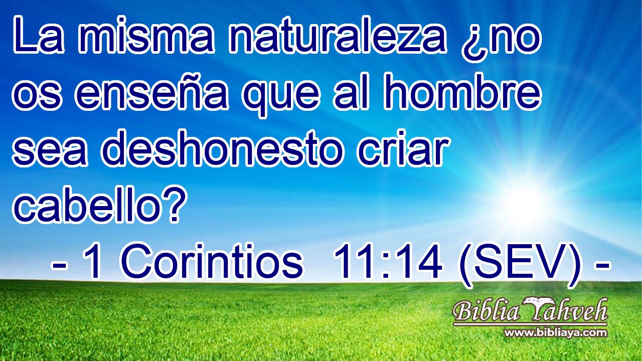 La misma naturaleza ¿no os enseña que al hombre sea deshonesto criar cabello?