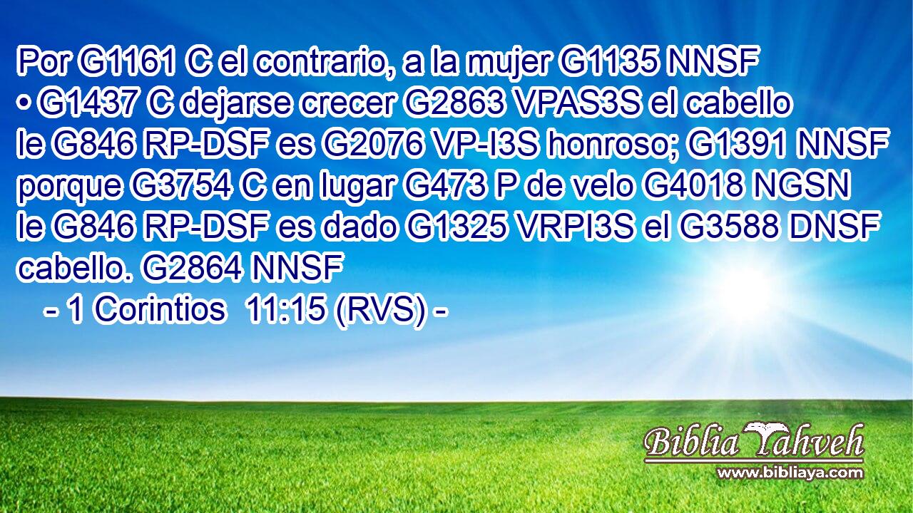 Por G1161 C el contrario, a la mujer G1135 NNSF • G1437 C dejarse crecer G2863 VPAS3S el cabello le G846 RP-DSF es G2076 VP-I3S honroso; G1391 NNSF porque G3754 C en lugar G473 P de velo G4018 NGSN le G846 RP-DSF es dado G1325 VRPI3S el G3588 DNSF cabello. G2864 NNSF 