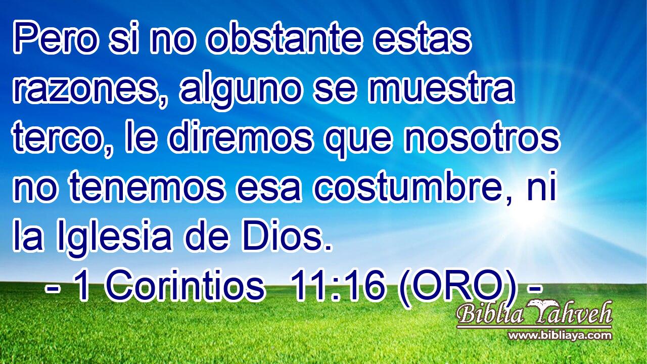  Pero si no obstante estas razones, alguno se muestra terco, le diremos que nosotros no tenemos esa costumbre, ni la Iglesia de Dios. 