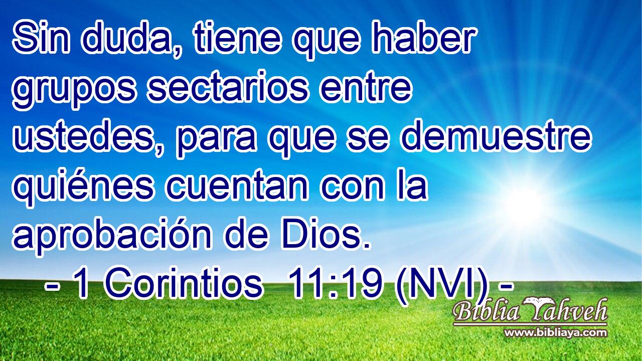  Sin duda, tiene que haber grupos sectarios entre ustedes, para que se demuestre quiénes cuentan con la aprobación de Dios. 
