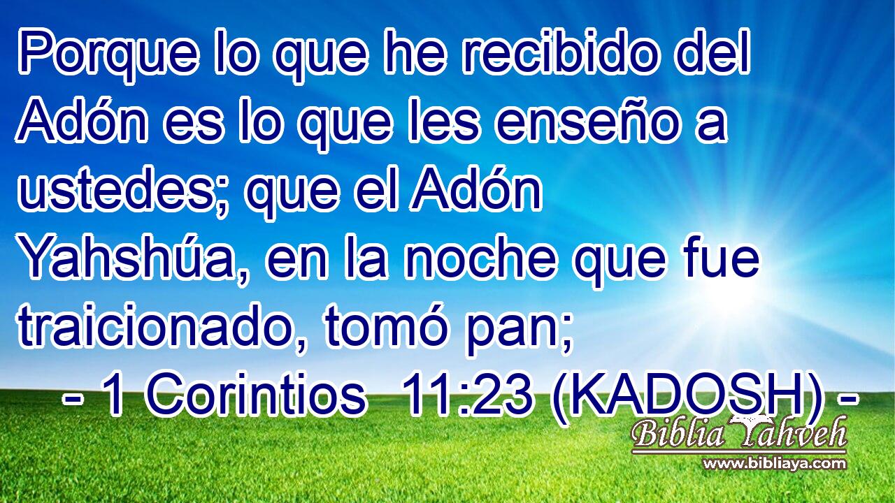  Porque lo que he recibido del Adón es lo que les enseño a ustedes; que el Adón Yahshúa, en la noche que fue traicionado, tomó pan; 