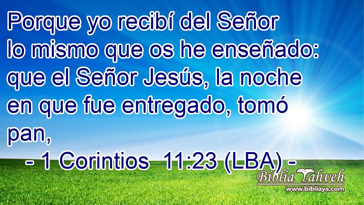 Porque yo recibí del Señor lo mismo que os he enseñado: que el Señor Jesús, la noche en que fue entregado, tomó pan,