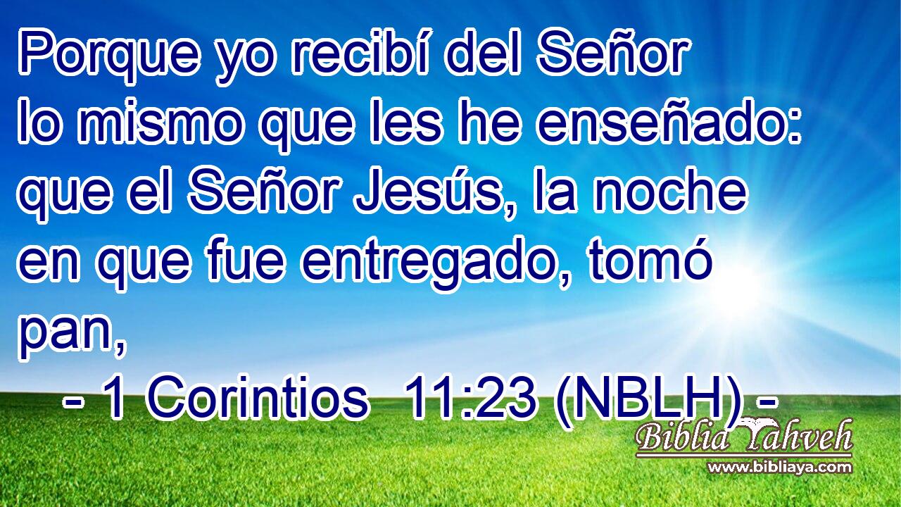  Porque yo recibí del Señor lo mismo que les he enseñado: que el Señor Jesús, la noche en que fue entregado, tomó pan, 