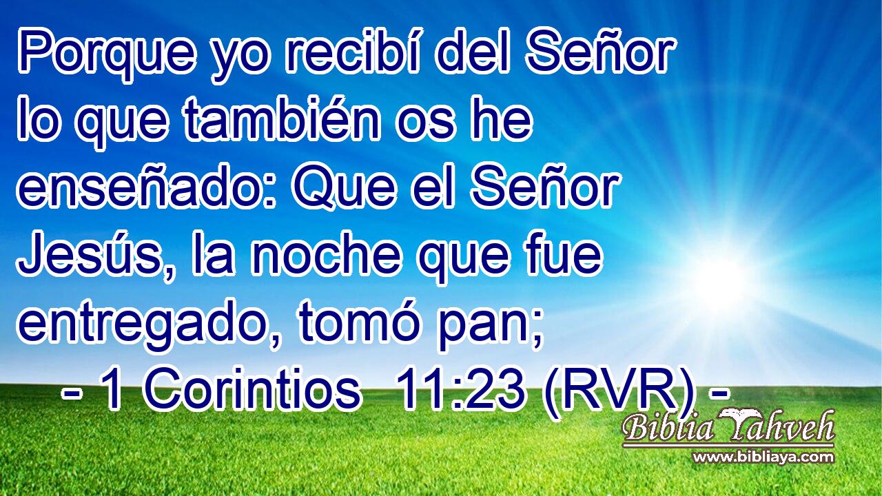Porque yo recibí del Señor lo que también os he enseñado: Que el Señor Jesús, la noche que fue entregado, tomó pan;