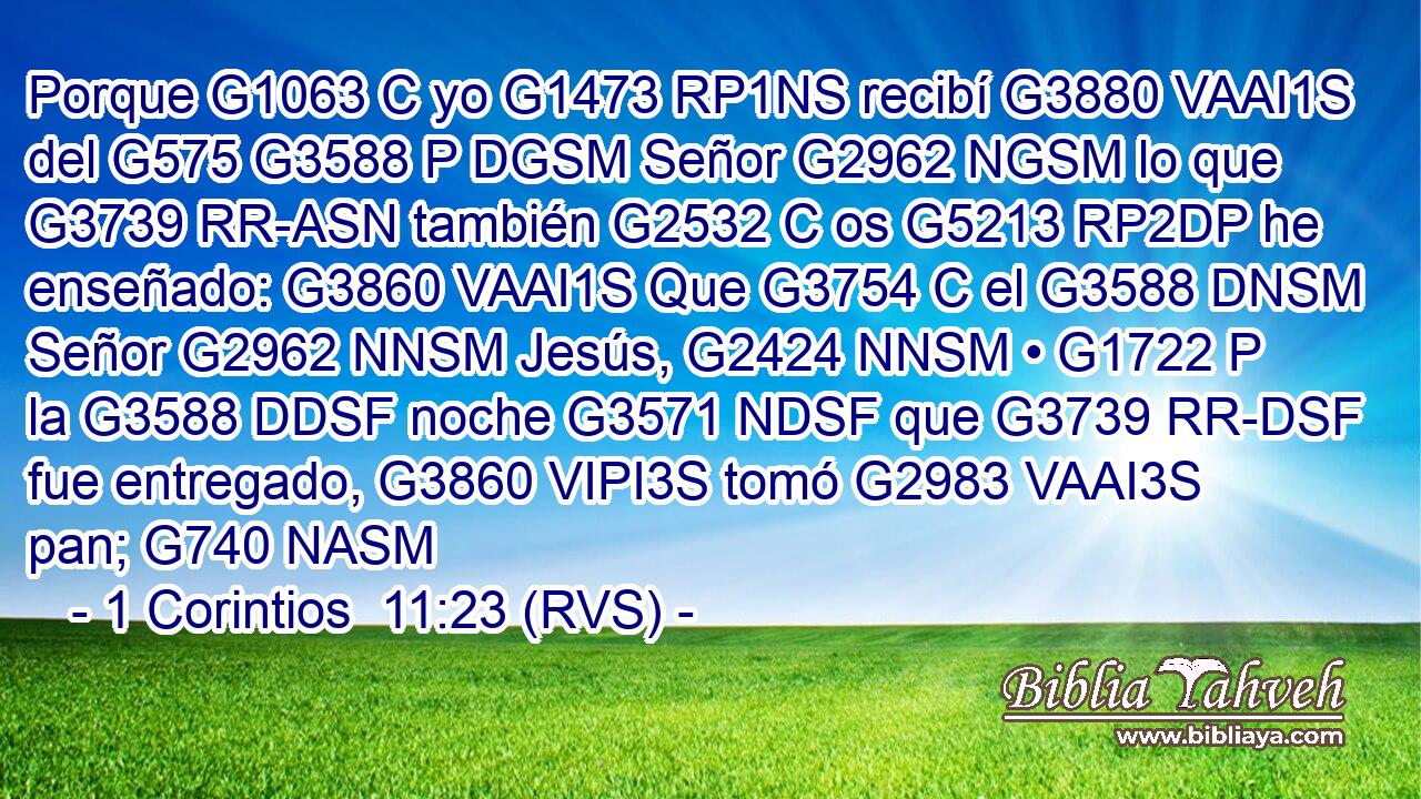 Porque G1063 C yo G1473 RP1NS recibí G3880 VAAI1S del G575 G3588 P DGSM Señor G2962 NGSM lo que G3739 RR-ASN también G2532 C os G5213 RP2DP he enseñado: G3860 VAAI1S Que G3754 C el G3588 DNSM Señor G2962 NNSM Jesús, G2424 NNSM • G1722 P la G3588 DDSF noche G3571 NDSF que G3739 RR-DSF fue entregado, G3860 VIPI3S tomó G2983 VAAI3S pan; G740 NASM 