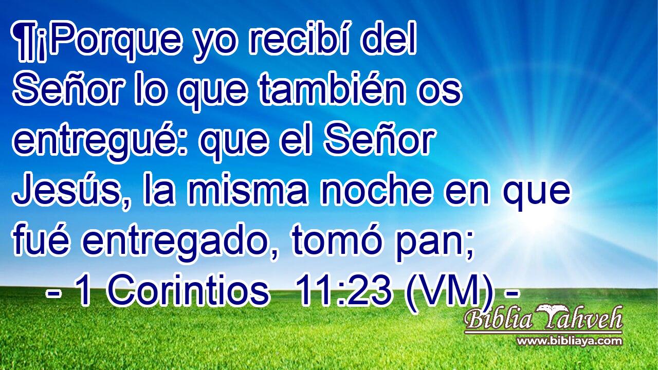  ¶¡Porque yo recibí del Señor lo que también os entregué: que el Señor Jesús, la misma noche en que fué entregado, tomó pan; 