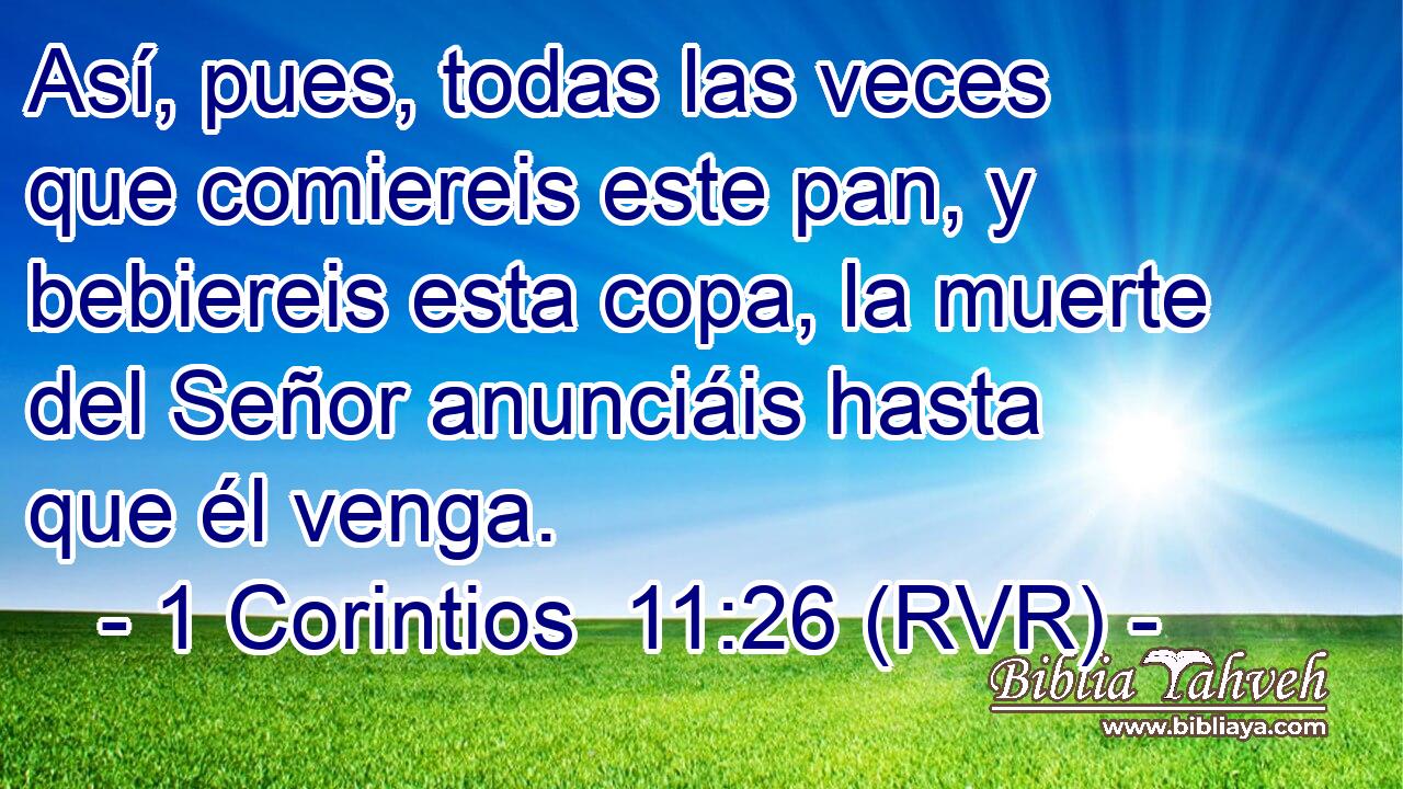 Así, pues, todas las veces que comiereis este pan, y bebiereis esta copa, la muerte del Señor anunciáis hasta que él venga.