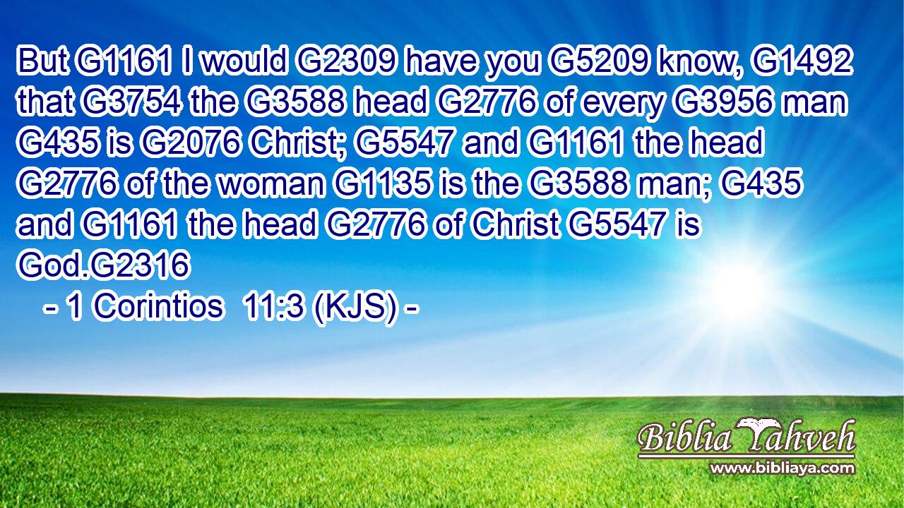 But G1161 I would G2309 have you G5209 know, G1492 that G3754 the G3588 head G2776 of every G3956 man G435 is G2076 Christ; G5547 and G1161 the head G2776 of the woman G1135 is the G3588 man; G435 and G1161 the head G2776 of Christ G5547 is God.G2316