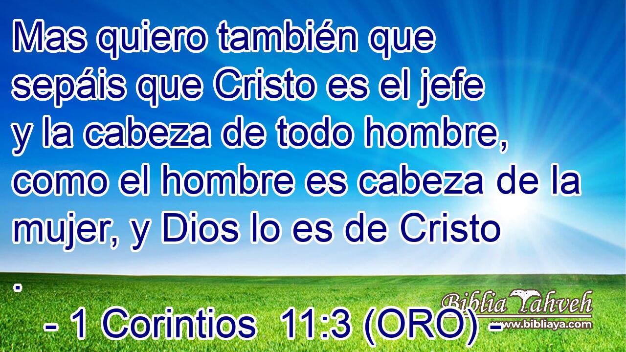  Mas quiero también que sepáis que Cristo es el jefe y la cabeza de todo hombre, como el hombre es cabeza de la mujer, y Dios lo es de Cristo . 