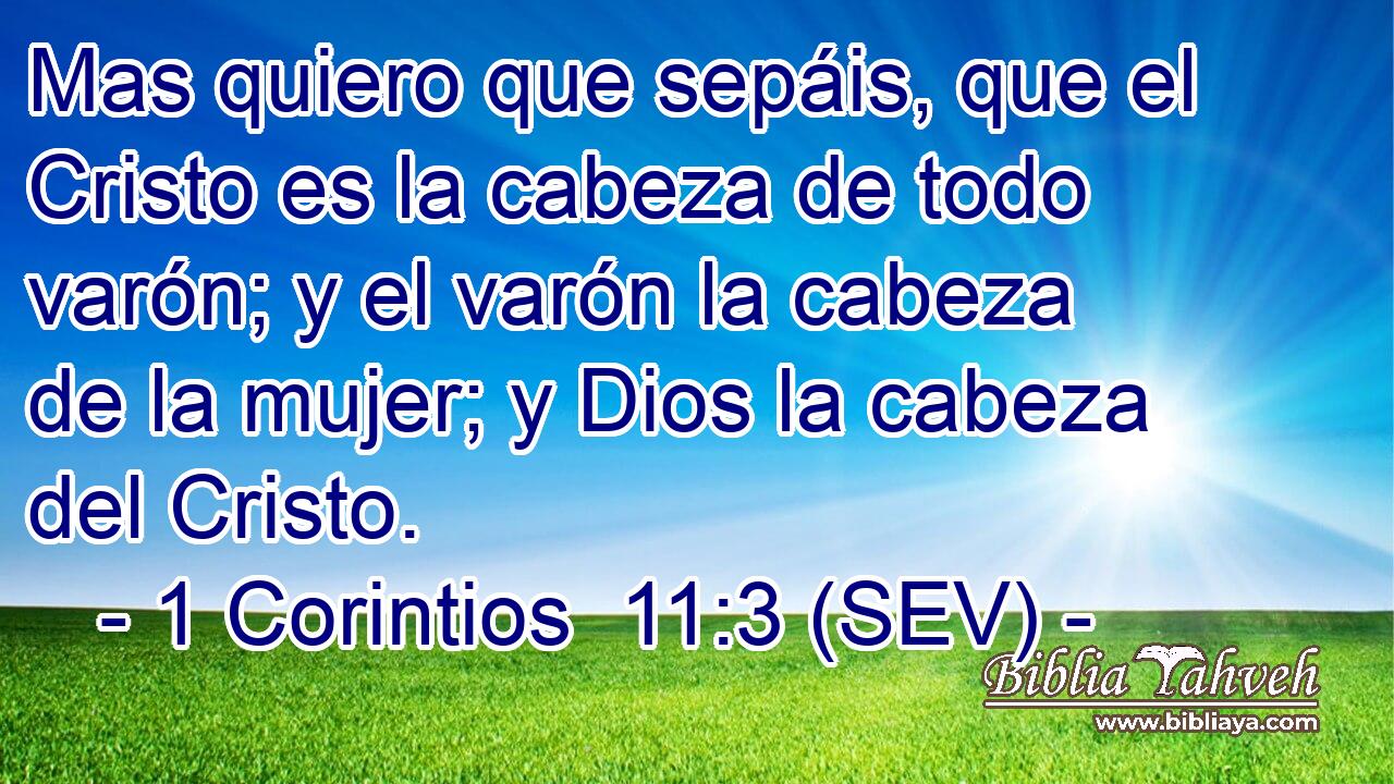 Mas quiero que sepáis, que el Cristo es la cabeza de todo varón; y el varón la cabeza de la mujer; y Dios la cabeza del Cristo.