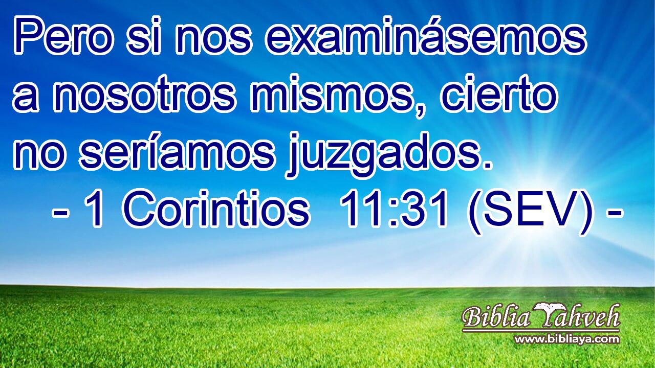 Pero si nos examinásemos a nosotros mismos, cierto no seríamos juzgados.